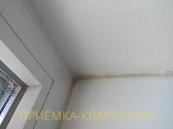 Приёмка квартиры в ЖК Лайф Приморский: отслоение штукатурки и краски на оконном профиле