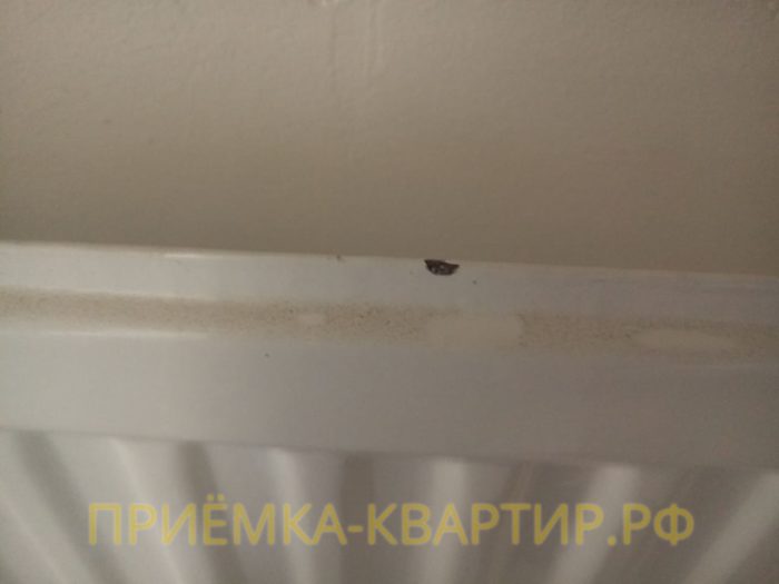Приёмка квартиры в ЖК Елагин Апарт: На радиаторе отопления нарушено лако-красочное покрытие
