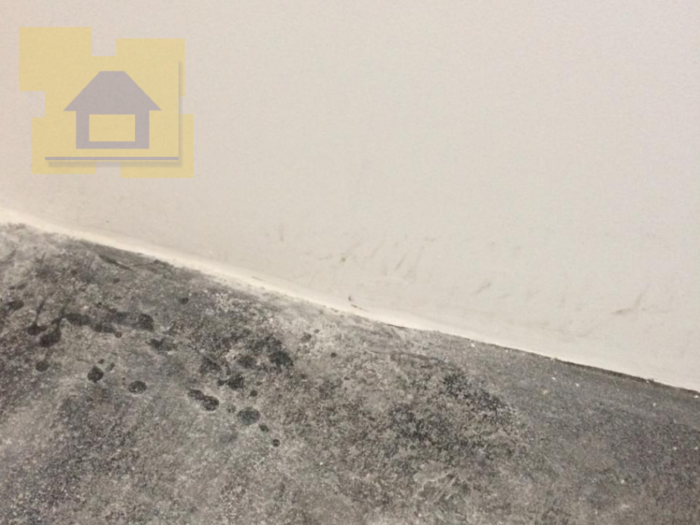 Приёмка квартиры в ЖК Легенда Комендантского: Местная неровность на стяжке пола 8 мм
