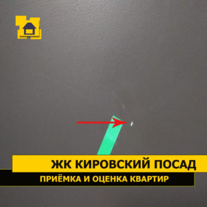 Приёмка квартиры в ЖК Кировский посад: Повреждение лакокрасочного покрытия входной двери