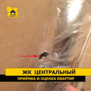 Приёмка квартиры в ЖК Центральный: Не затянут хомут на полотенцесушиле