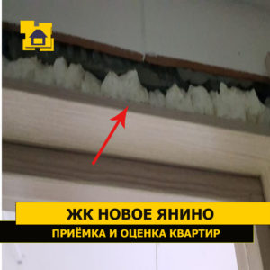 Приёмка квартиры в ЖК Новое Янино: Отсутствует дверной наличник