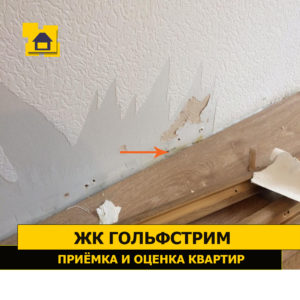 Приёмка квартиры в ЖК Гольфстрим: Обнаружена плесень под плинтусом