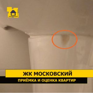 Приёмка квартиры в ЖК Московский: Скол на раковине