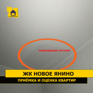 Приёмка квартиры в ЖК Новое Янино: Непрокрас, наплывы шпаклёвки на потолке