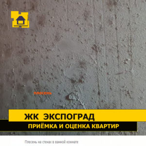 Приёмка квартиры в ЖК Экспоград: Плесень на стенах в ванной комнате