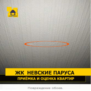 Приёмка квартиры в ЖК Невские Паруса: Повреждение обоев