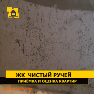 Приёмка квартиры в ЖК Чистый Ручей: Плесень на потолке
