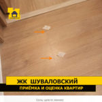 Приёмка квартиры в ЖК Шуваловский: Сколы, щели по ламинату