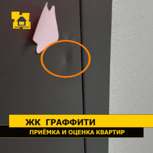 Приёмка квартиры в ЖК Граффити: Вмятина на входной двери