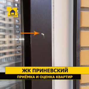Приёмка квартиры в ЖК Приневский: Скол лакокрасочного покрытия на оконной раме снаружи