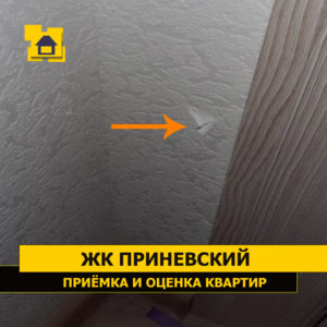Приёмка квартиры в ЖК Приневский: Повреждены обои.