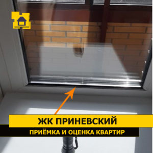 Приёмка квартиры в ЖК Приневский: Недоставлены штапики на окне.
