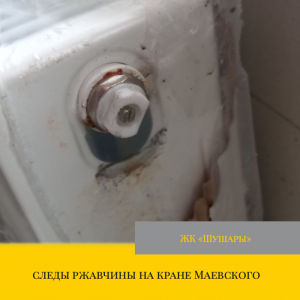 Приёмка квартиры в ЖК : следы ржавчины на кране Маевского