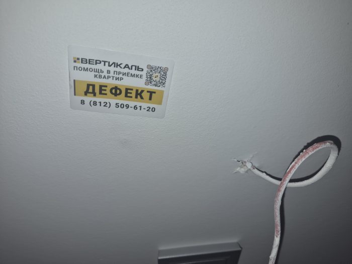 Отчет о приемке квартиры в ЖК "Дворцовый фасад": Мусор под обоями